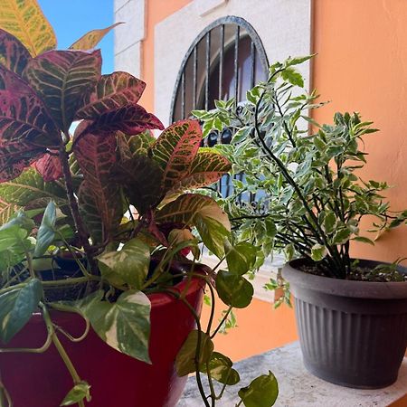 Hotel Casa Mallorca カンクン エクステリア 写真