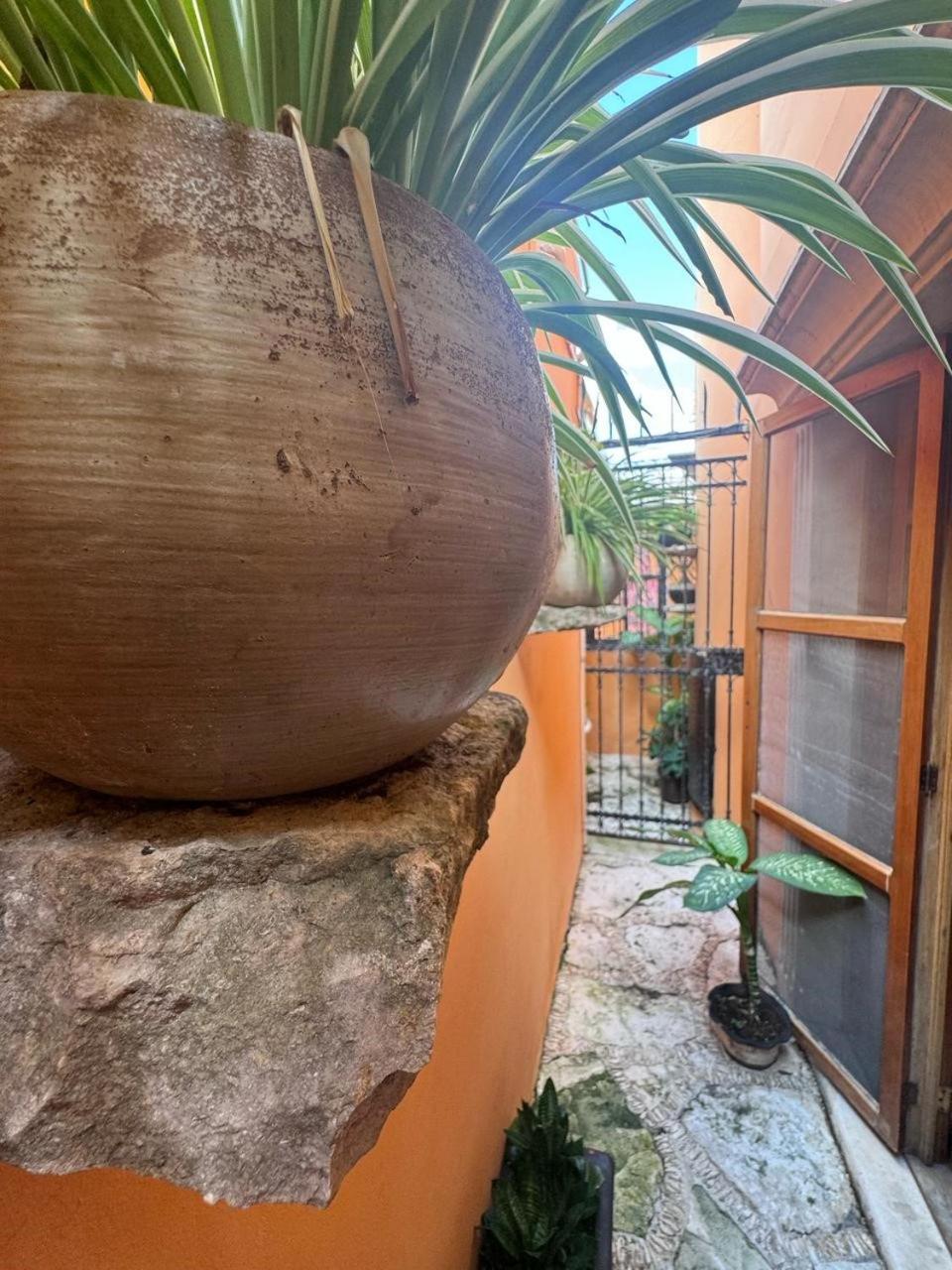 Hotel Casa Mallorca カンクン エクステリア 写真