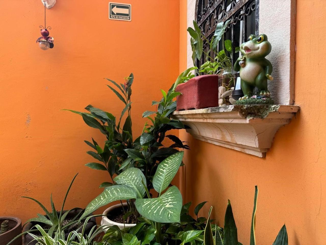 Hotel Casa Mallorca カンクン エクステリア 写真