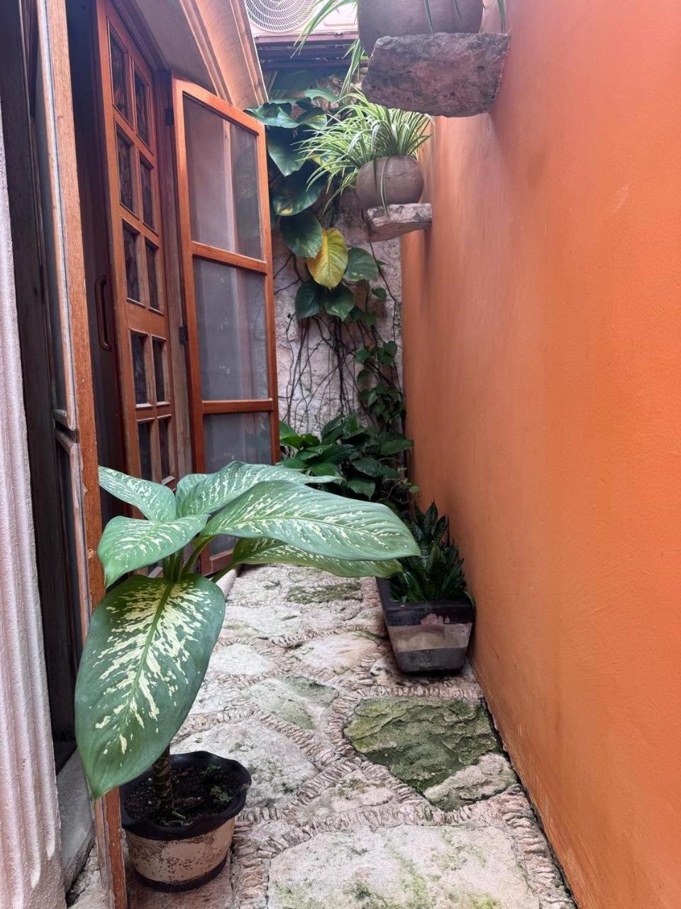 Hotel Casa Mallorca カンクン エクステリア 写真