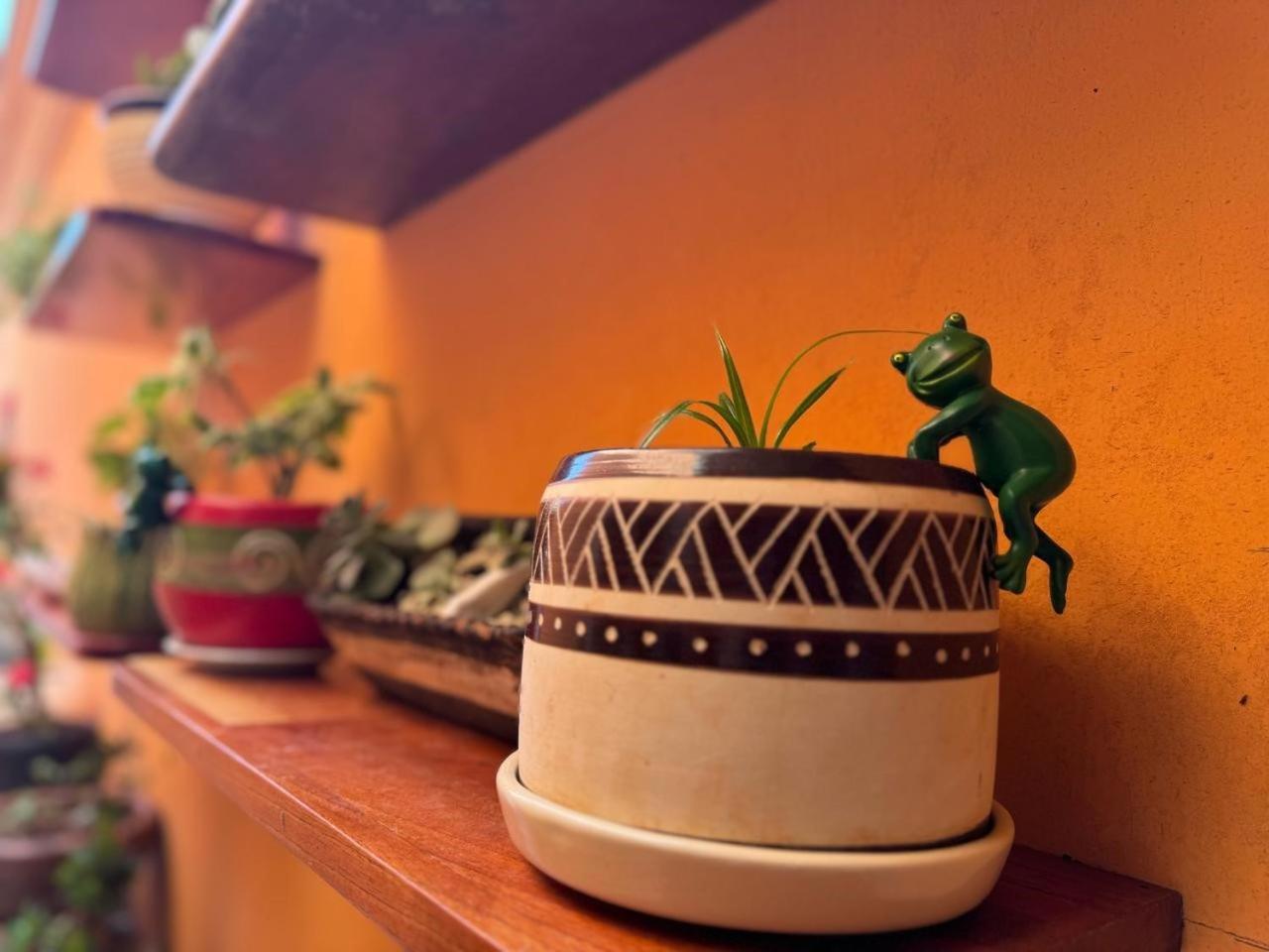 Hotel Casa Mallorca カンクン エクステリア 写真