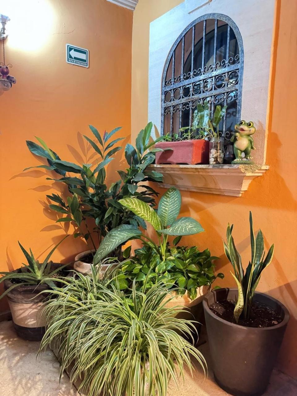 Hotel Casa Mallorca カンクン エクステリア 写真