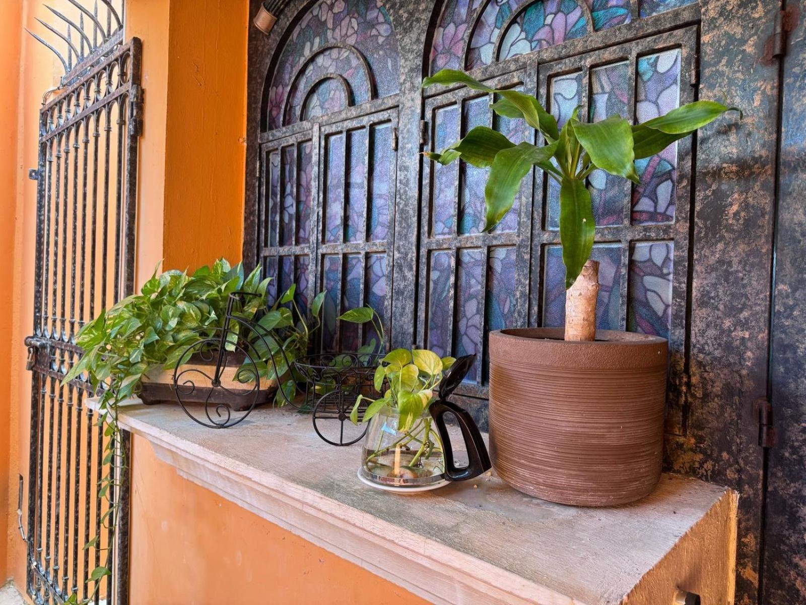 Hotel Casa Mallorca カンクン エクステリア 写真